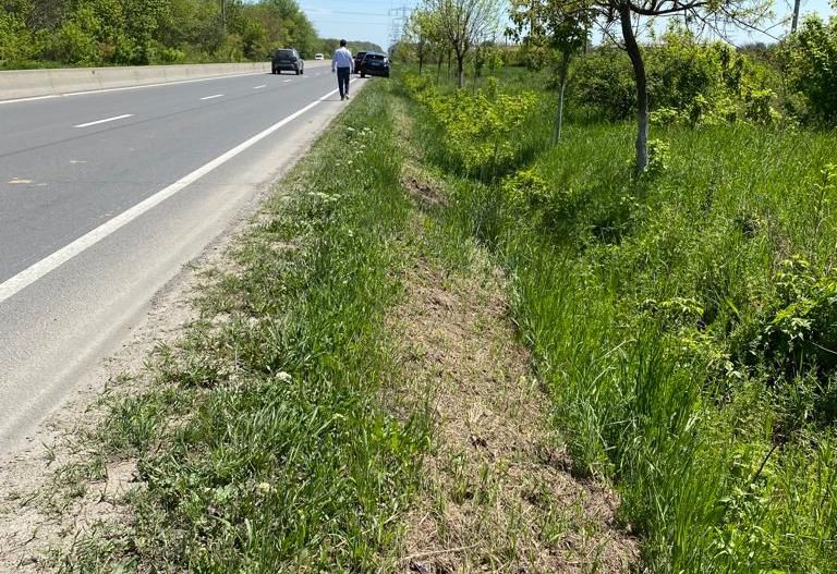 Teren la DN7 - ideal investitie (Benzinarie, spalatorie, hala) - Poză 2