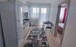 Apartament 1 camera Bucium-300Euro - Poză 5