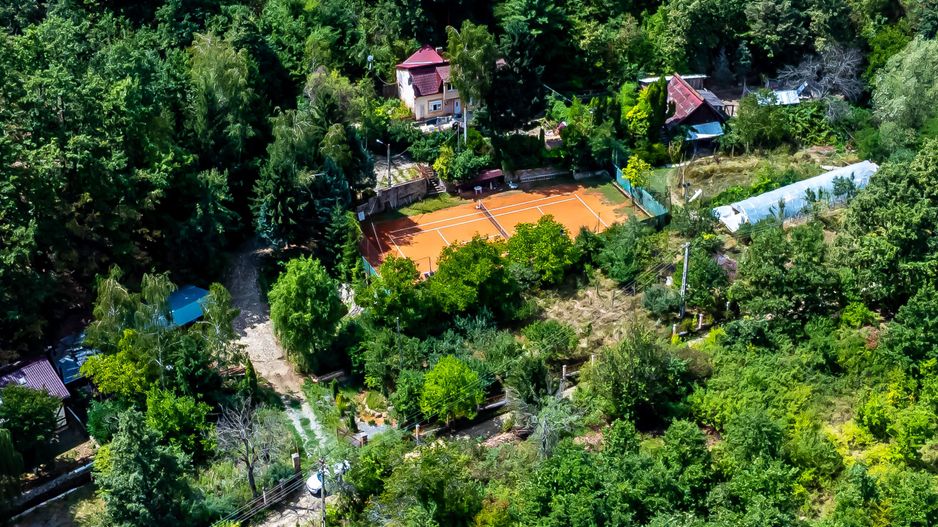 PROPRIETATE VÂNDUTĂ Casă conac cu 15.000 mp deal împădurit la Barațca, - Poză 12