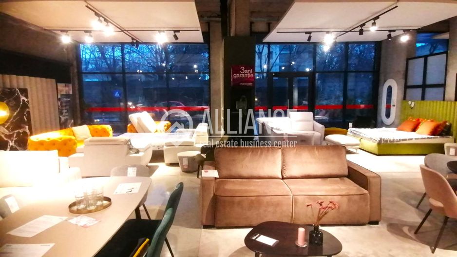 Spatiu comercial de inchiriat- (cod10)- EUROMATERNA - Poză 13