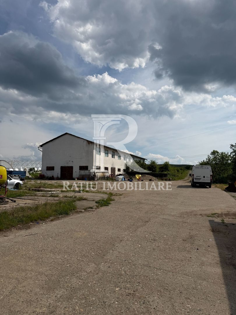 Activ agricol integrat | 67,5 ha | Oportunitate investițională - Poză 11