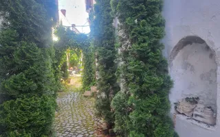 VILĂ INDIVIDUALĂ | ULTRACENTRAL | 270 MP UTILI | LOCUINȚĂ SAU BUSINESS - Poză 30
