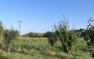 Vand teren intravilan - Poză 3
