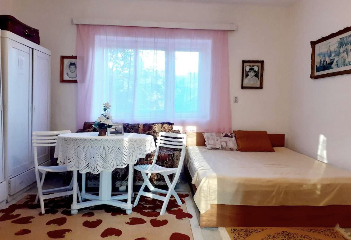 Vand casa cu gradina 4000 mp ca 12 Km de statiunea geotermala Tasnad - Poză 5