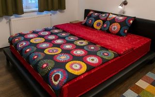 Vila 5 camere partial mobilata, curte 400 mp, garaj BUNLOC  Pet Friendly - Poză 3