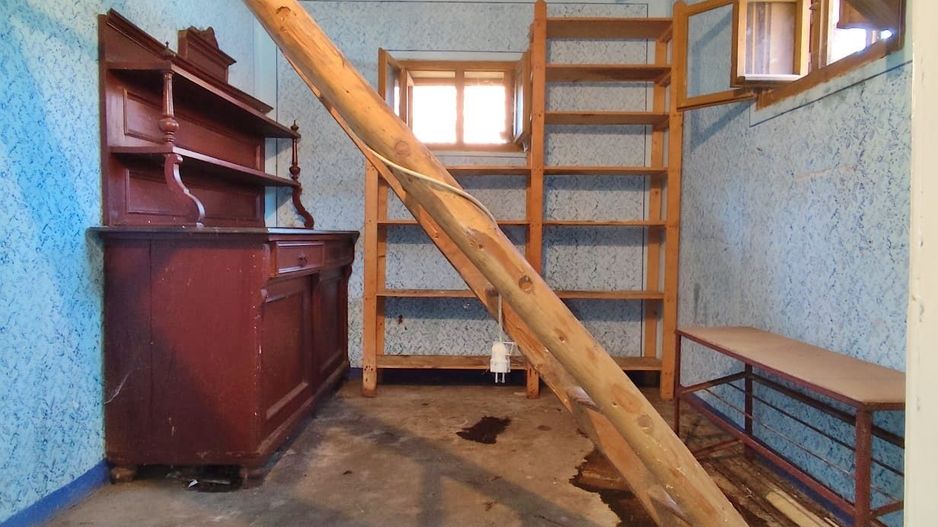 Casa la tara, gaz, acces auto, teren 4122 mp – Petid, Bihor – VANZARE - Poză 10
