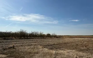 Teren intravilan agricol | 7029 mp | Satu Nou | Bihor - Poză 14