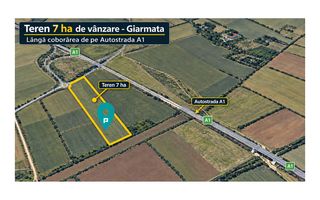 Teren 7 ha Giarmata | lângă A1 - Poză 5