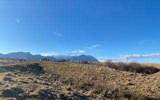 Teren Sohodol 10.000 mp - Poză 3