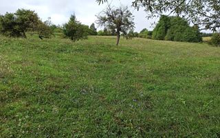 Teren intravilan 12600 mp-utilitati-ideal case, investitie-Livezile - Poză 2