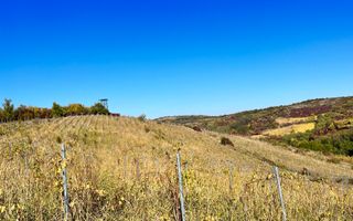 14Ha podgorie, livada pomi fructiferi, si conac 3000mp - Poză 6