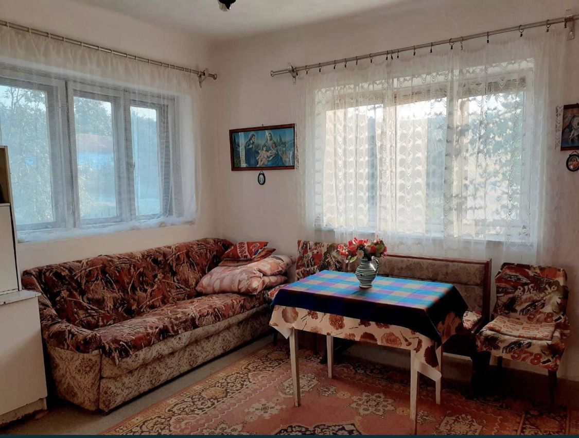 Vand casa cu gradina 4000 mp ca 12 Km de statiunea geotermala Tasnad - Poză 4