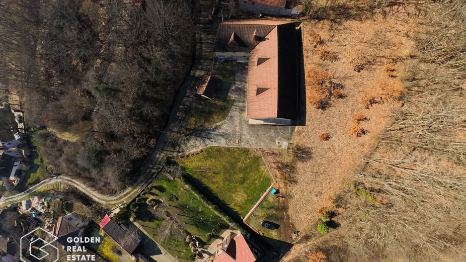 Proprietate pretabila pentru afacere, Cladova - Poză 40