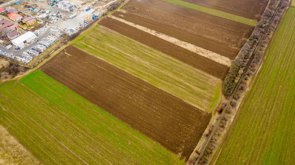 Teren 5000 mp ZĂDĂRENI - Poză 4