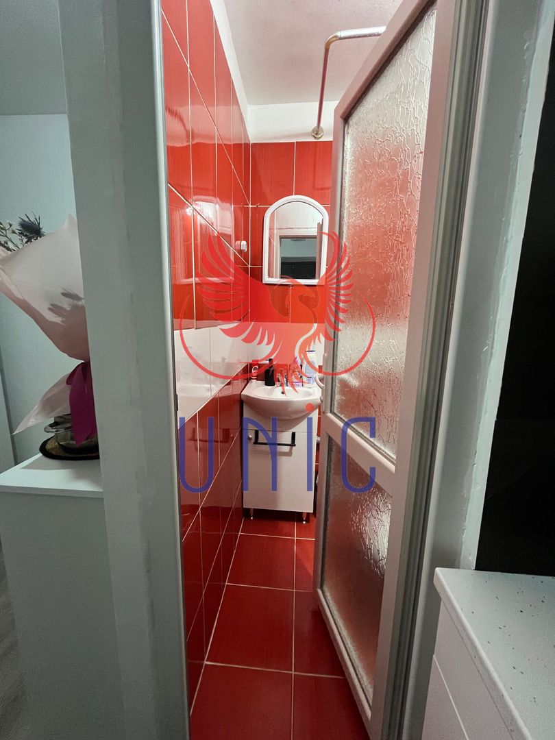 Camera de camin Lapus - 39 300 Euro - Poză 7