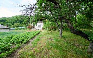 Casa cu teren generos - 4696 mp Apa Sarata - Campulung !! - Poză 8