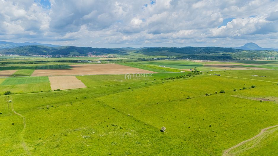 Teren de investiție în zona Tohanul Nou - Bran  5.800 mp - Poză 4