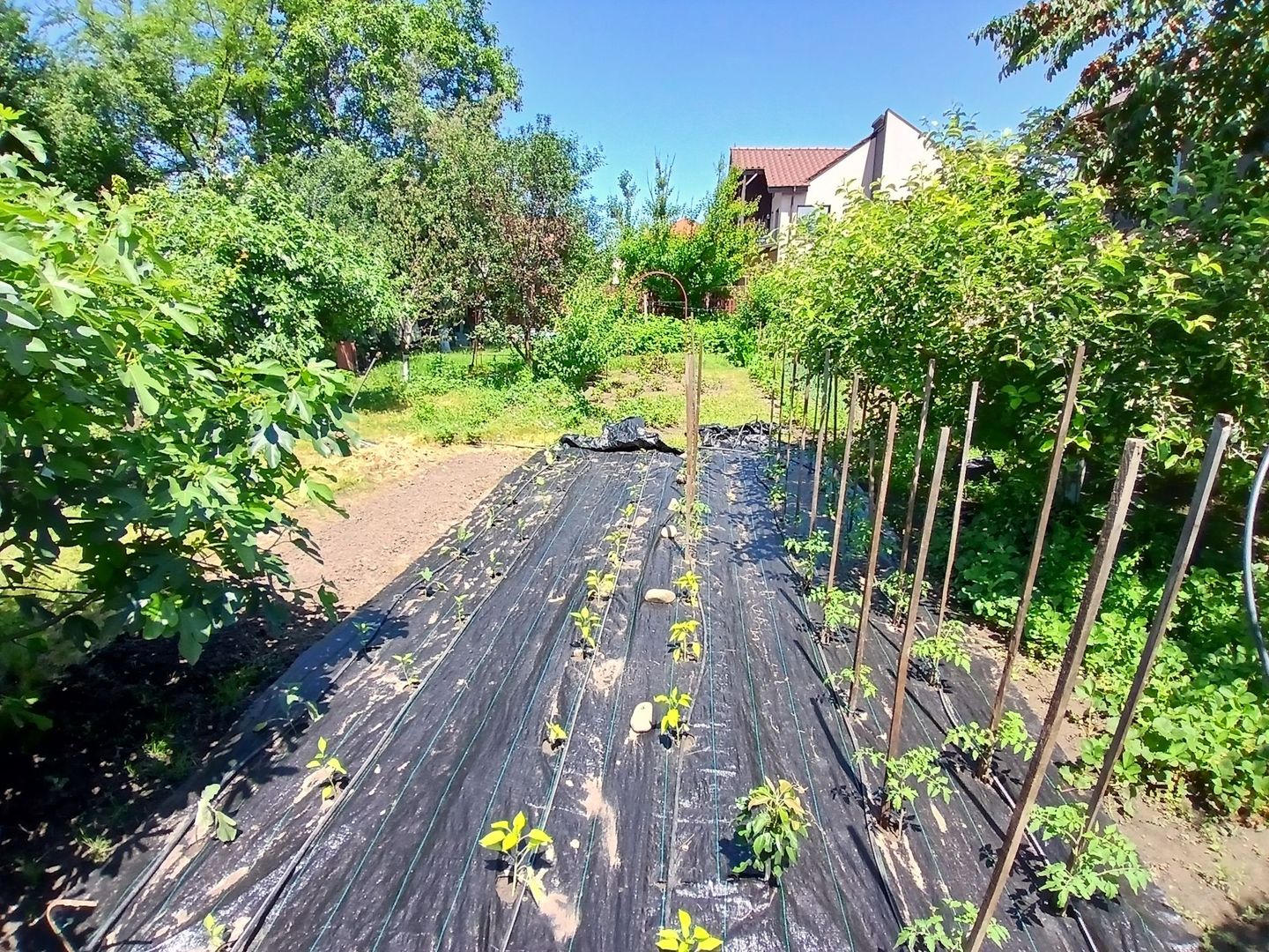 Teren intravilan 402 mp în Tecuci – zonă liniștită, deschidere 16 ml - Poză 1