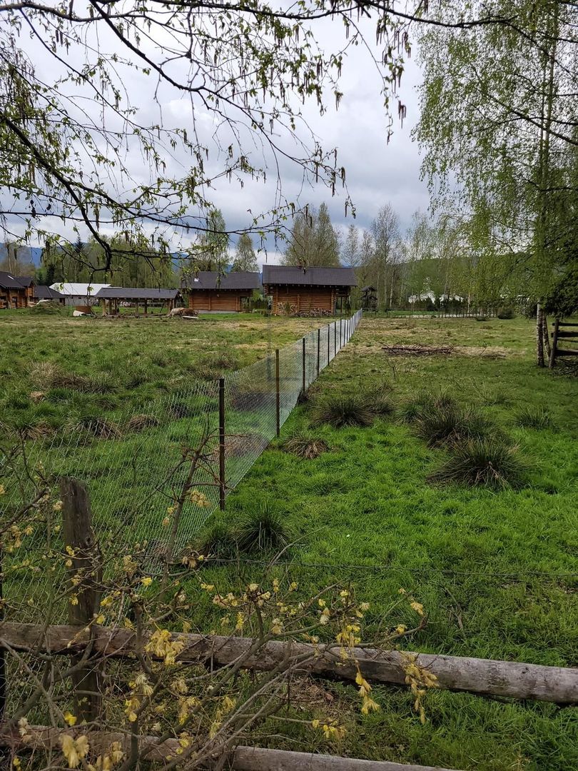 Teren Saru Dornei / Neagra Sarului - oportunitate investitie - Poză 3