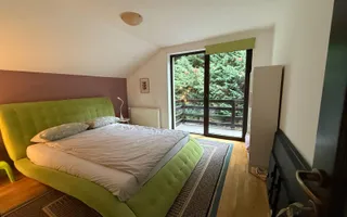 Vila langa padure, panorama superba,  250mp, zona Faget - Poză 17