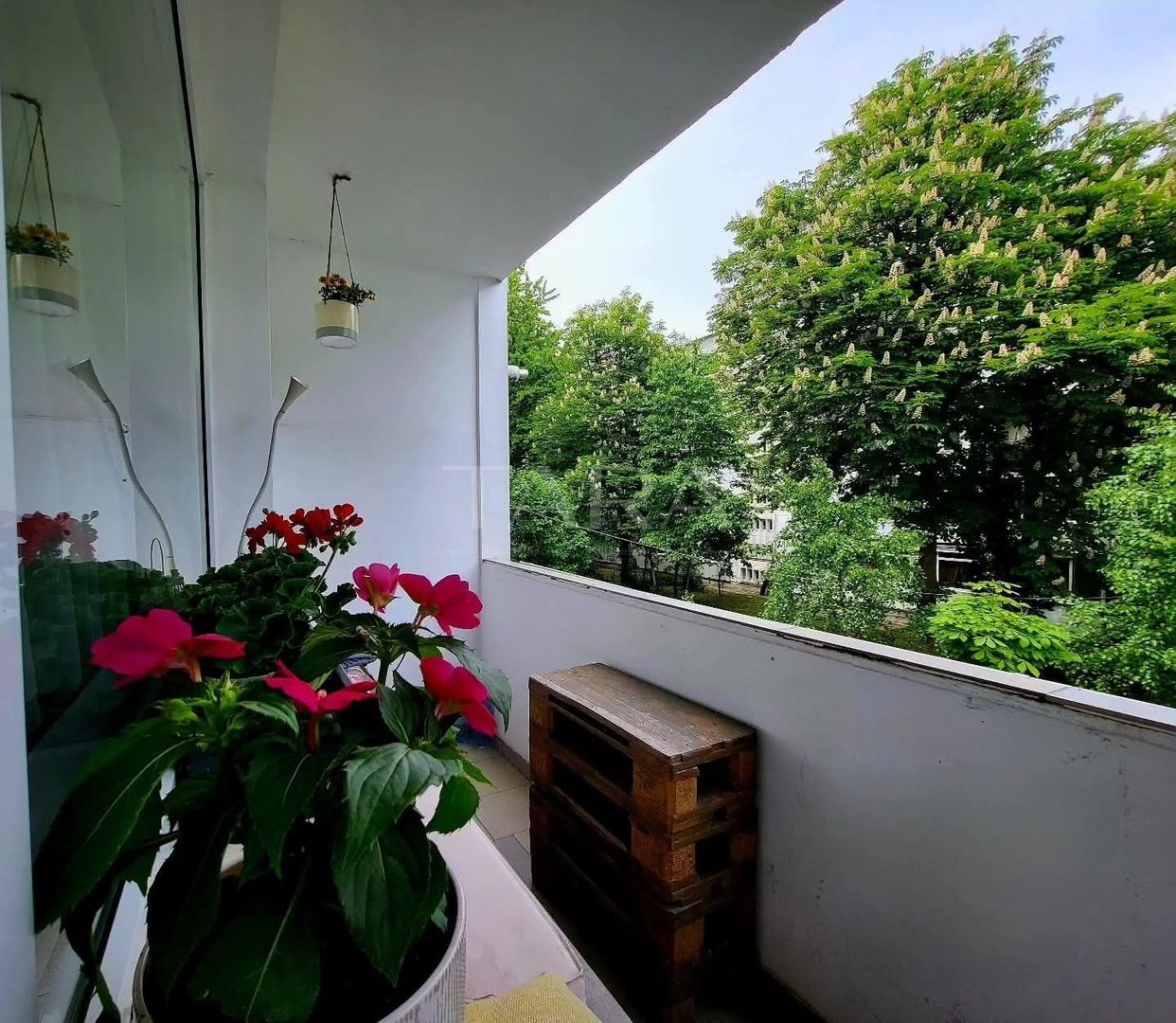 Apartament 3 camere Gheorgheni, zona Școalii Brâncusi - Poză 8