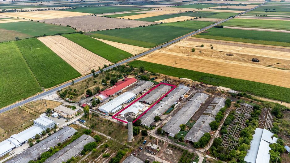 Unitate de abatorizare și procesare carne DN7  -  Nădlac - Poză 1