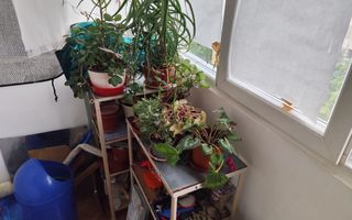 3 camere Rahova - 1983 - Poză 6