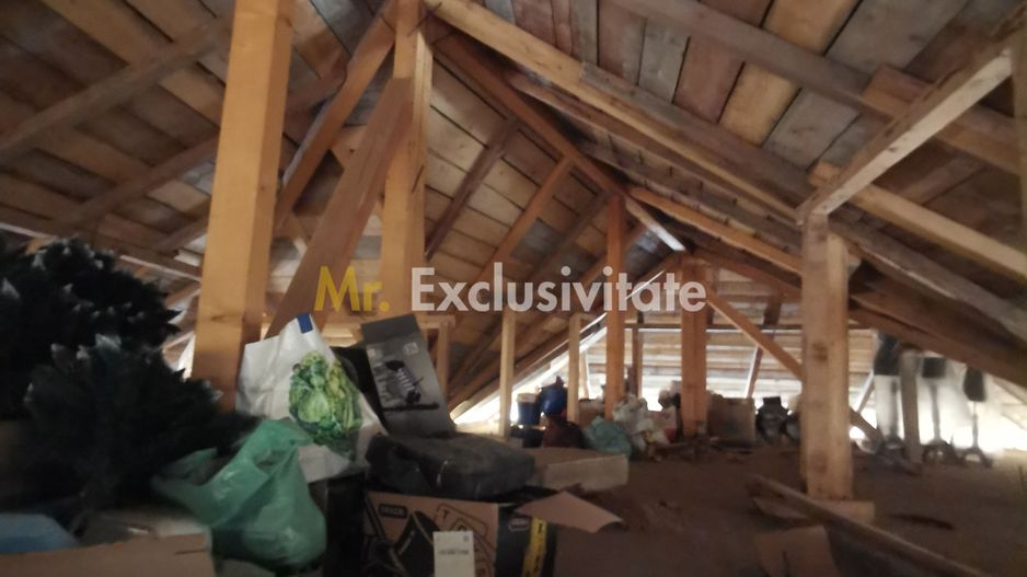 Casa la rosu în Plaiul Vulcănești - Poză 13