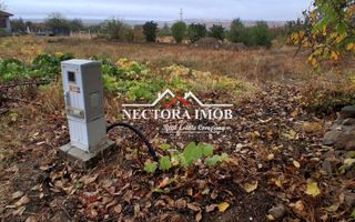 NECTORA IMOB-Teren Intravilan PALEU, 676 mp, Autorizatie Constructie - Poză 4