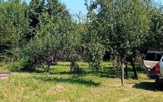 974 mp de vis, între pădure și cer - Teren intravilan, Cisnadioara, Sibiu - Poză 9