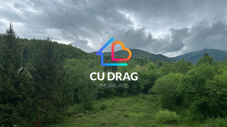 Investiție cu suflet: Pensiune de vânzare pe Valea Avrigului - Poză 11