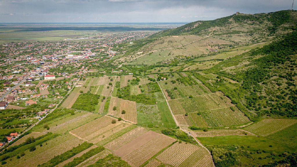 Teren extravilan - 3654 mp Dealul Șiriei - Poză 7