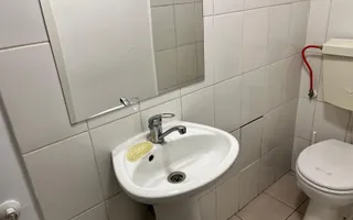 Spatiu comercial la artera - Poză 13