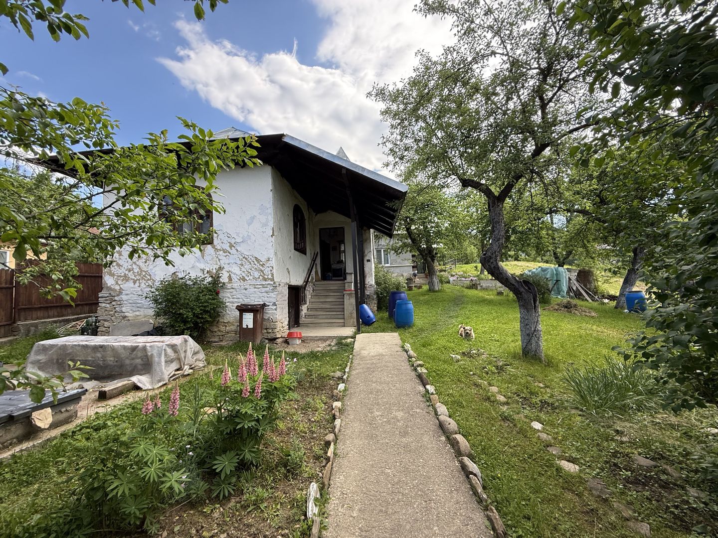 2 Case + teren 1390 mp langa parcul central Provita de Sus - Poză 34