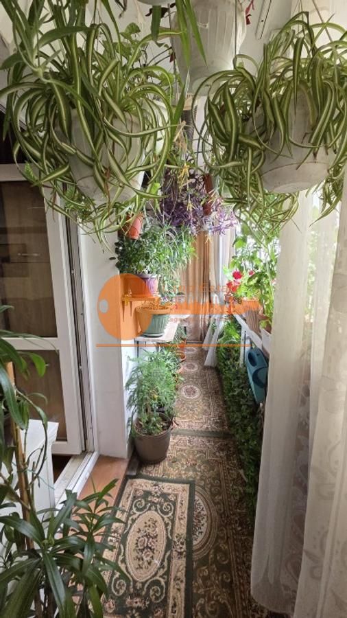 Apartament cu 3 camere in zona Ghencea-Drumul Taberei - Poză 9