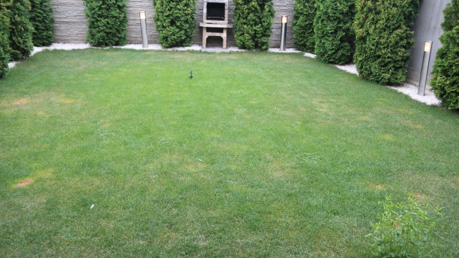 Duplex aproape de Mega Image si Lidl ideal ptr.investitie - Poză 28