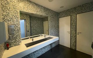 Birou individual Baneasa - Poză 9