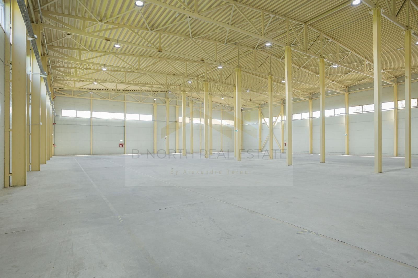 Hala industrială 2.000 mp • Depozitare / Producție • Rampe încărcare • Otopeni - Poză 12