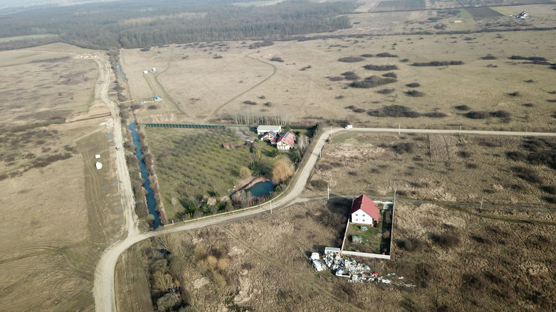 TEREN ZONA PADUREA BISTRA - Poză 3