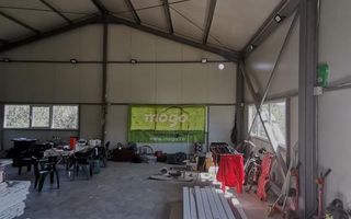 Vanzare hala si teren, Maracineni - Poză 3