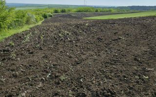 De vânzare – Teren agricol 40 ari, Cimișlia - Poză 4