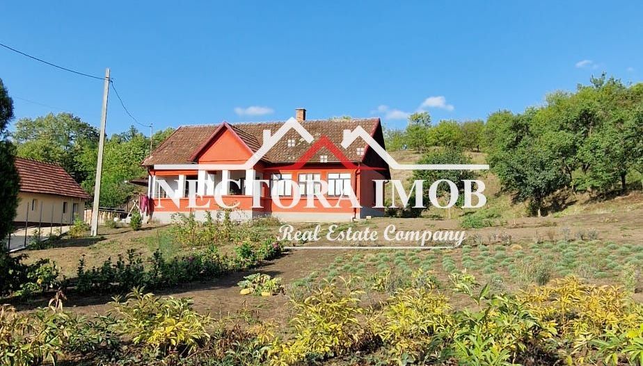 NECTORA IMOB-Casa Zona Podgoria cu 3 incaperi, 1700 mp teren,tip Conac - Poză 8