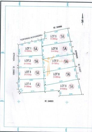 TEREN DE VANZARE IN CALARASI - Poză 3