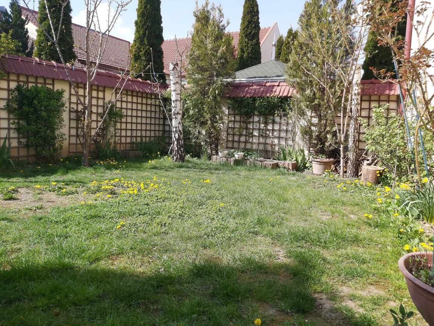 Ag EUROPA vinde casa individuala 7 cam  teren 4 ari zona TITULESCU . - Poză 12