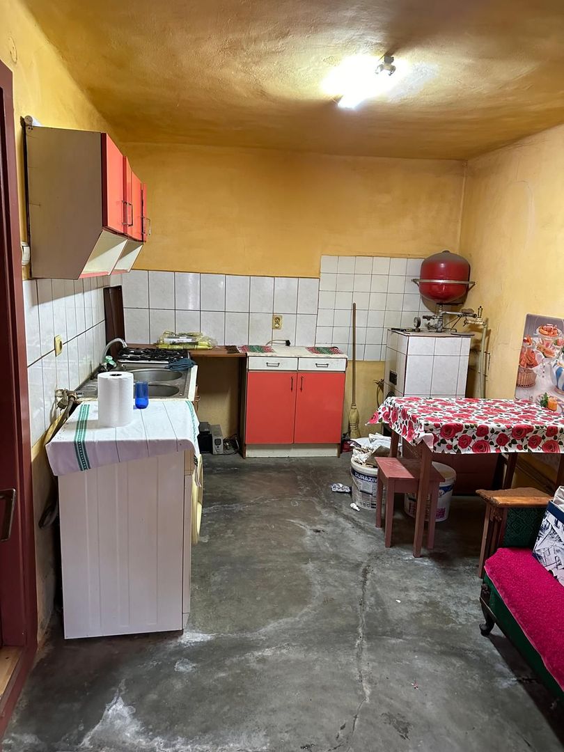 Casa de vanzare Variasu Mare- pret redus- 34.700 euro - Poză 8