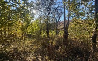 Teren langa pădure 6400mp+casa demolabila-deschidere 35 ml - Poză 7