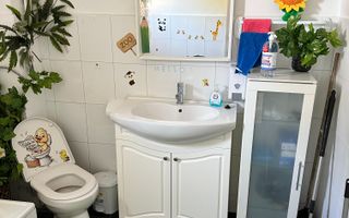 SPATIU COMERCIAL DOMENII, LOC PARCARE, CENTRALA, MOBILAT/UTILAT, CURTE - Poză 8