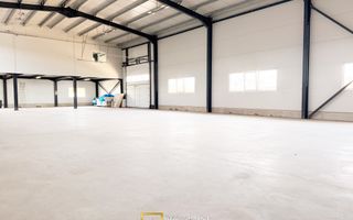 Hala industriala inchirere – Vladimirescu, jud. Arad 500 mp - Poză 2