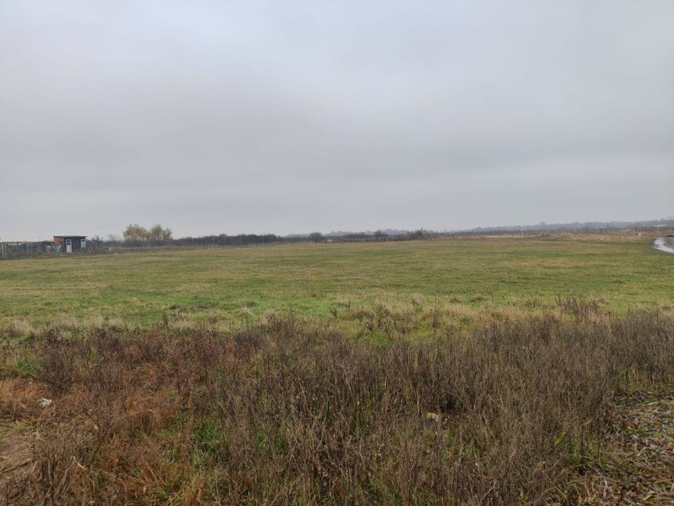 Teren 4588 mp, Remetea Mare Comision 0% - Poză 4