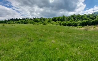 Terenuri cu  PUZ in zona Wonderland! - Poză 4